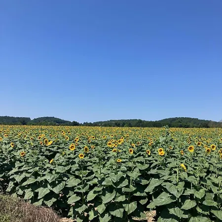 Rouleur 4* Saint-Martory