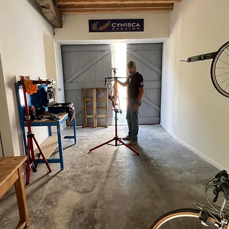 Bed & Breakfast Rouleur